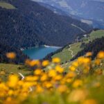 Haute-Savoie : à la découverte de Praz-sur-Arly