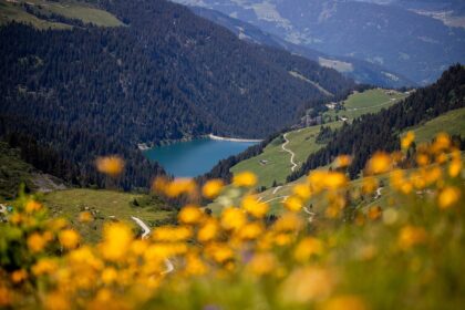 Haute-Savoie : à la découverte de Praz-sur-Arly