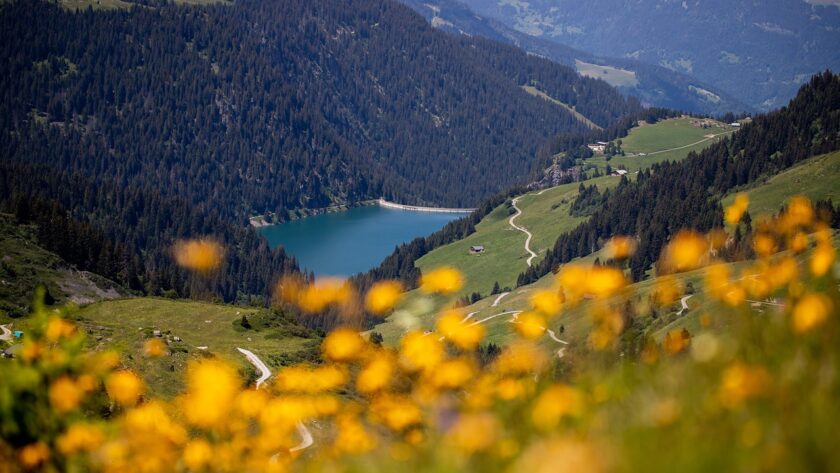 Haute-Savoie : à la découverte de Praz-sur-Arly