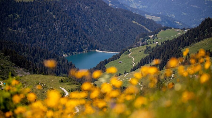 Haute-Savoie : à la découverte de Praz-sur-Arly